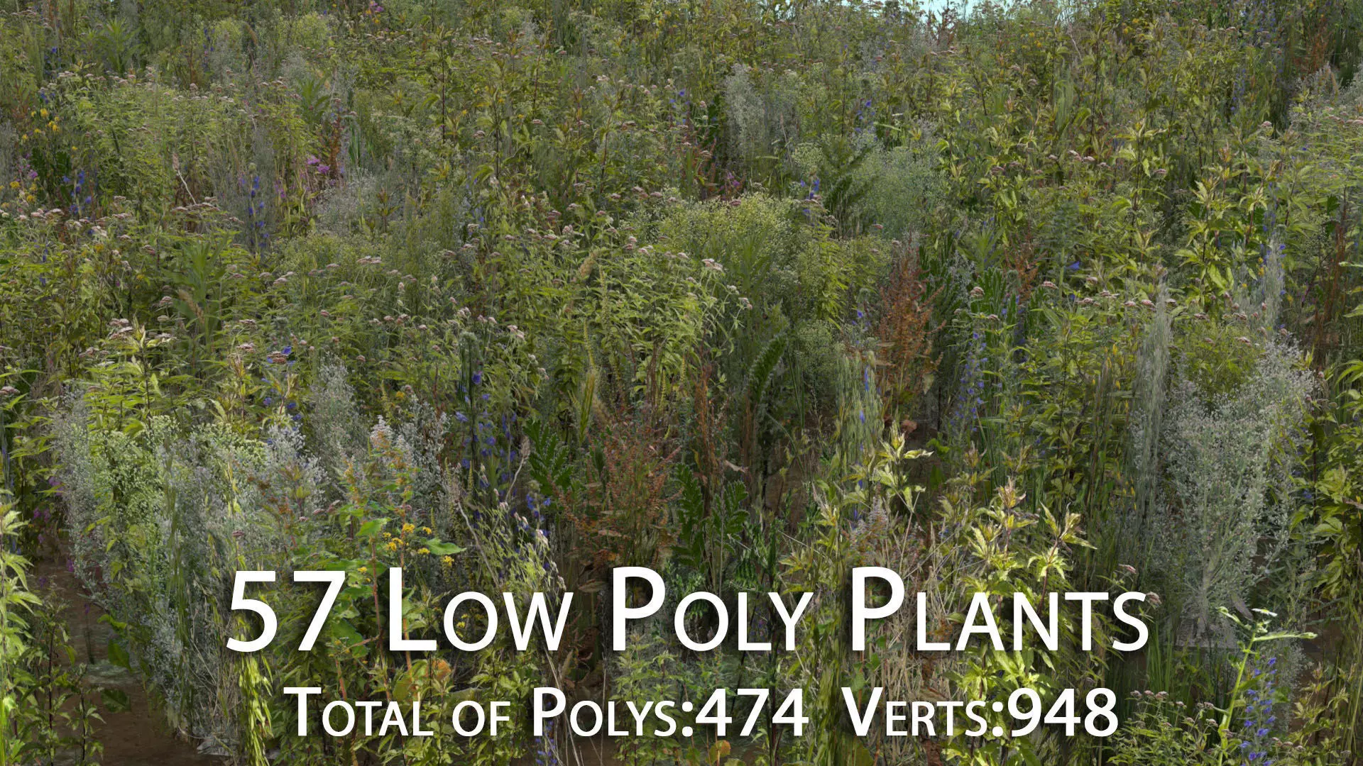 57 Low Poly Plants Low-poly 3D model