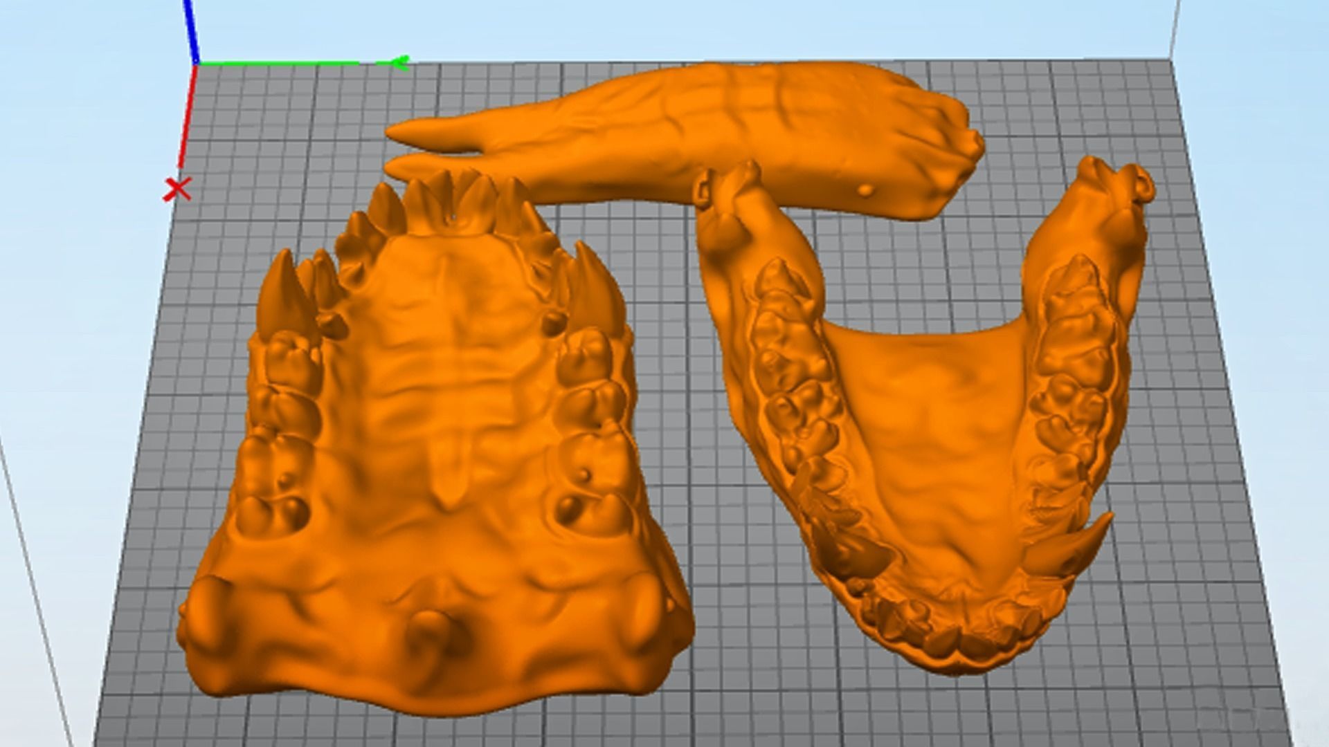 Dragon Teeth-Mouth Low-poly 3D model_16