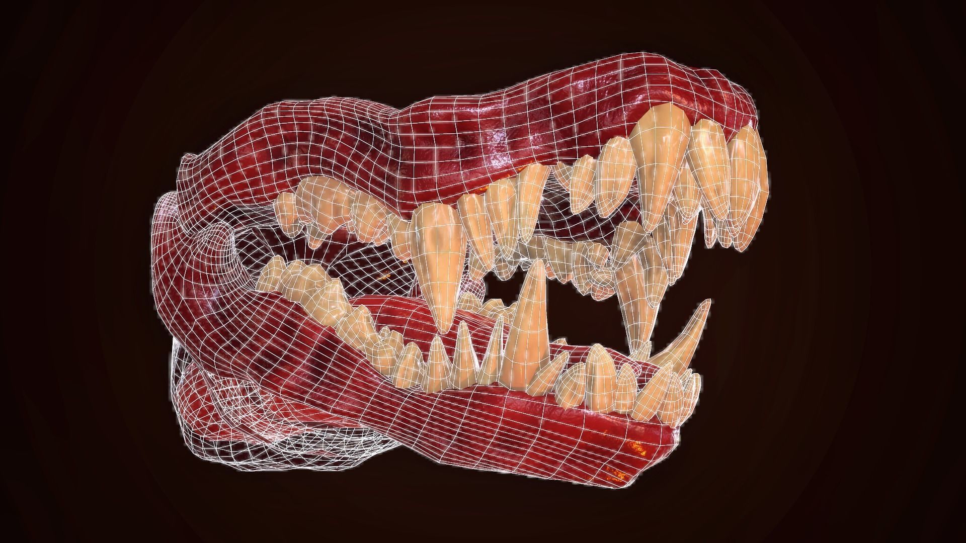Dragon Teeth-Mouth Low-poly 3D model_11