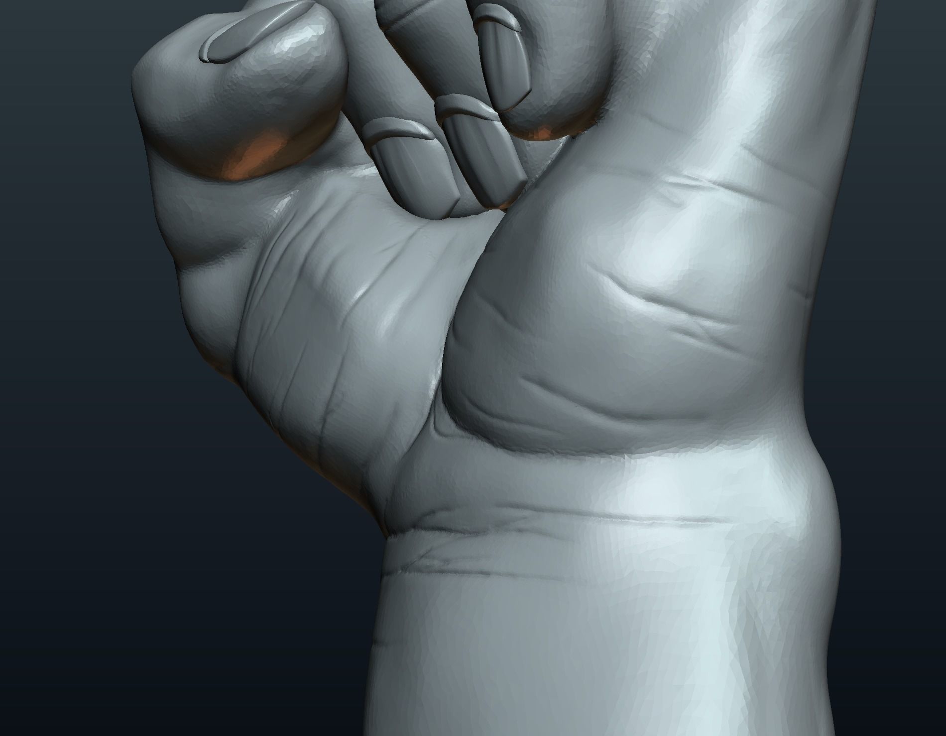 Fist Hand 3D print model_19