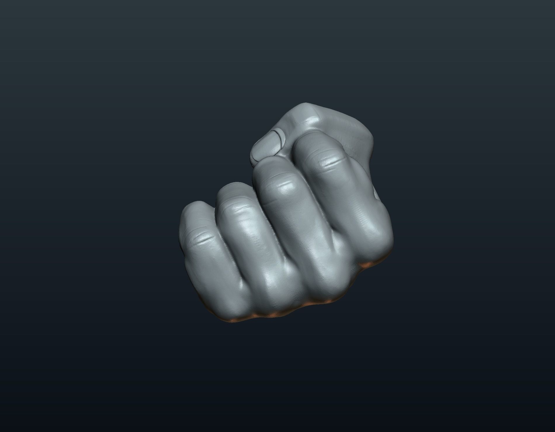 Fist Hand 3D print model_11