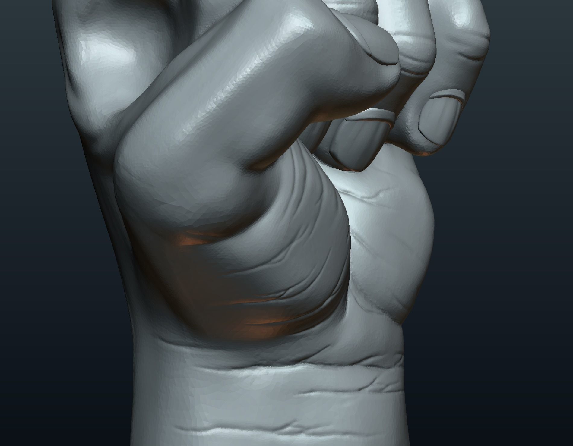 Fist Hand 3D print model_20
