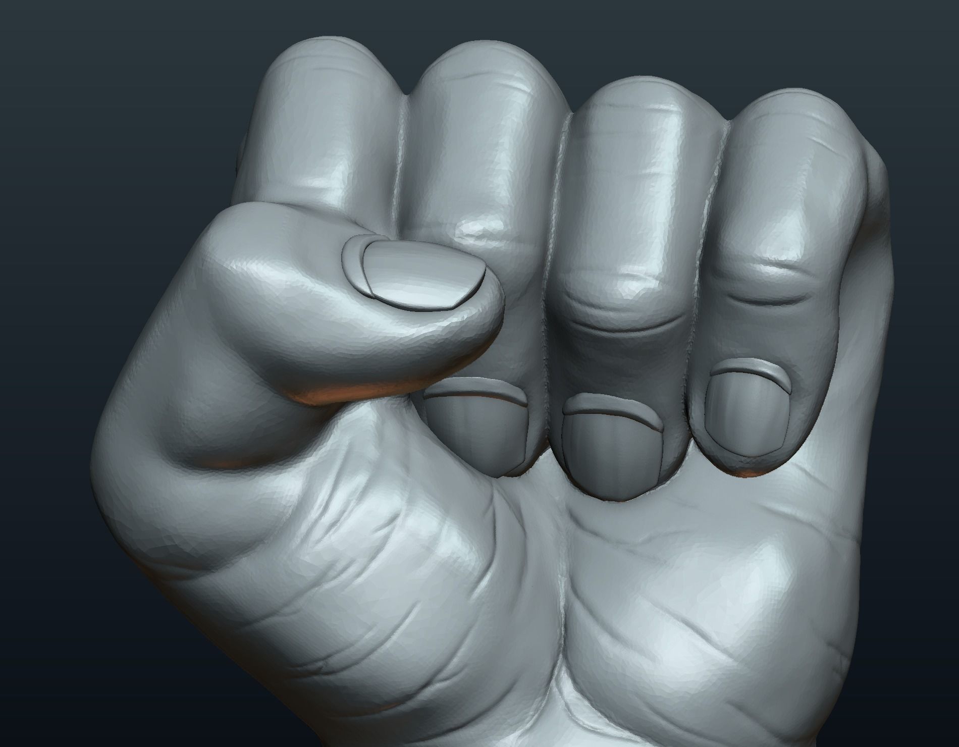 Fist Hand 3D print model_18