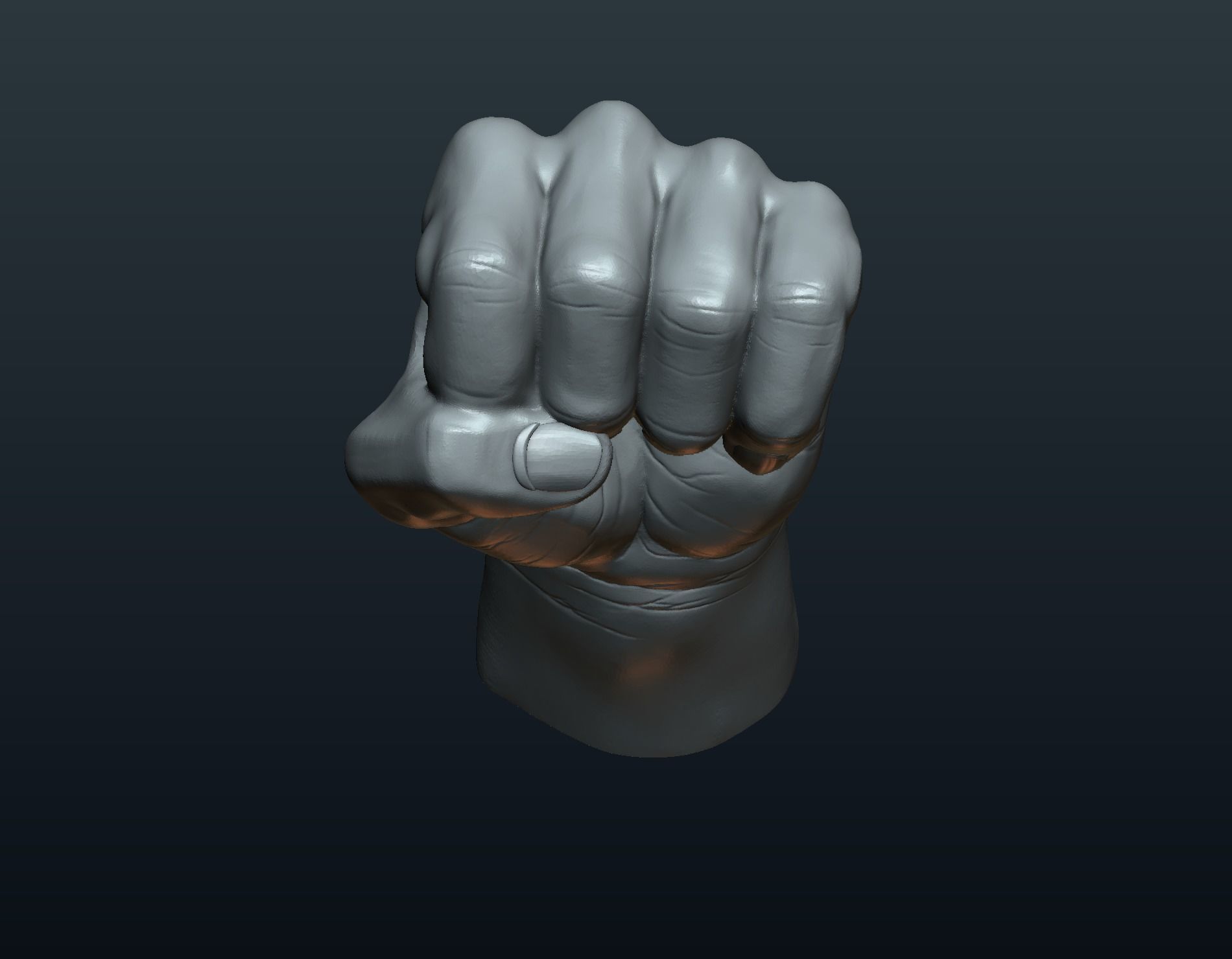 Fist Hand 3D print model_8
