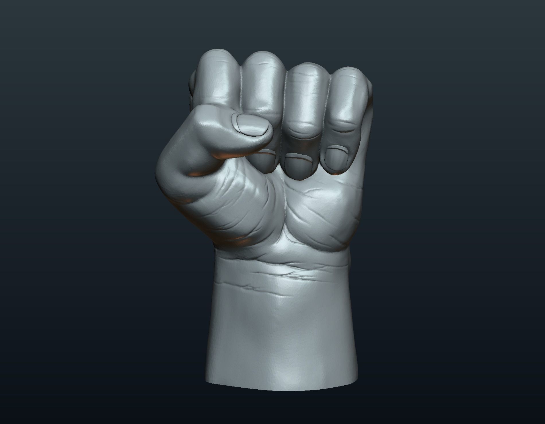 Fist Hand 3D print model_7