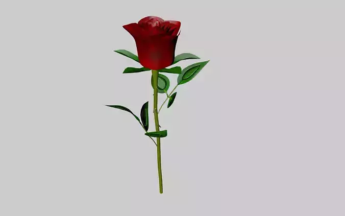 The Rose