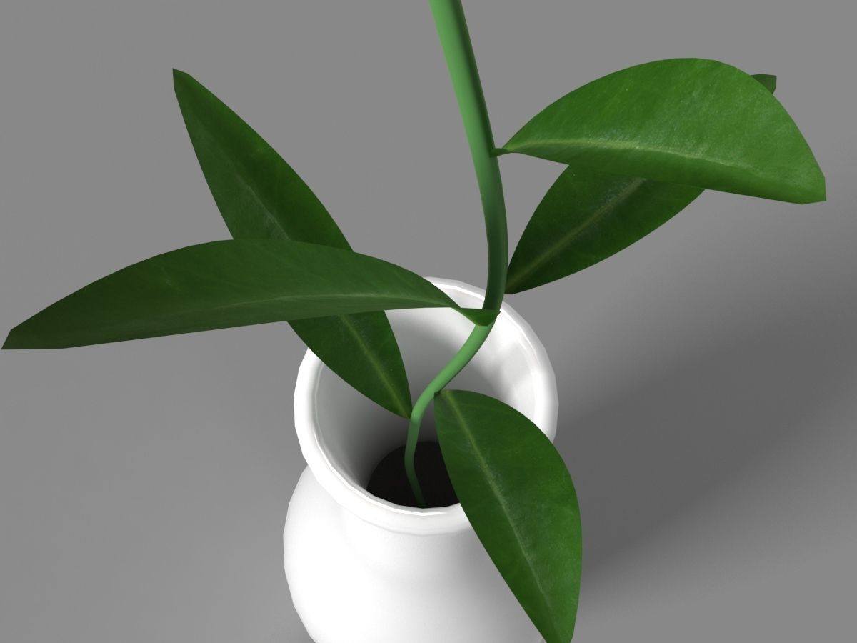 Porcelain Vase With Flower 3D model_4