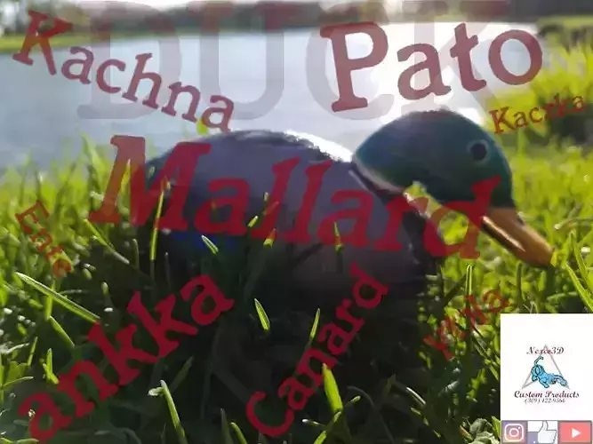 Duck Decoy by Nexco3D 3D print model