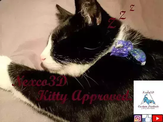 Seafood Dreams Kitty Pendant 3D print model