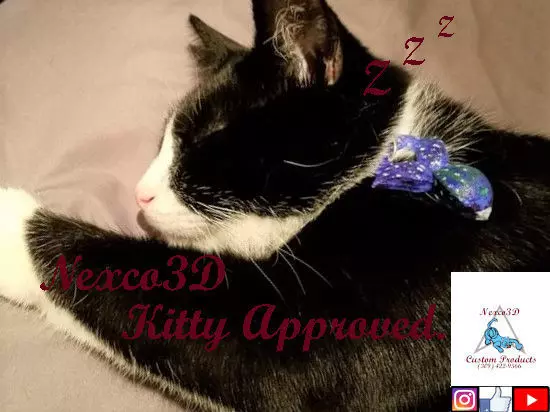 Seafood Dreams Kitty Pendant 3D print model