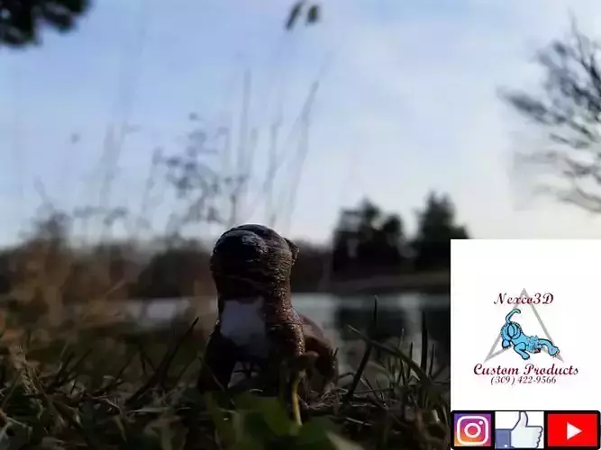 Midwest Otter 3D print model