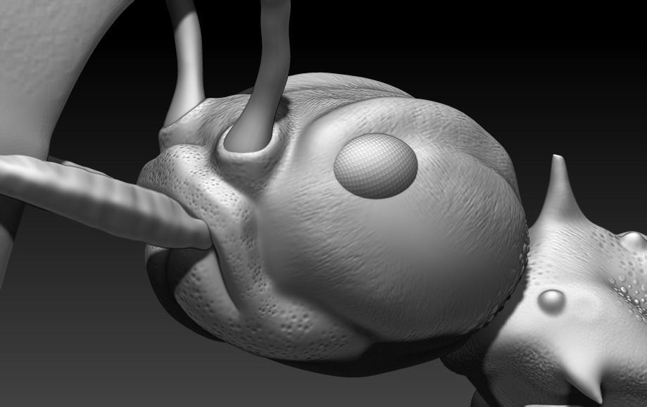red ant 3D print model_6