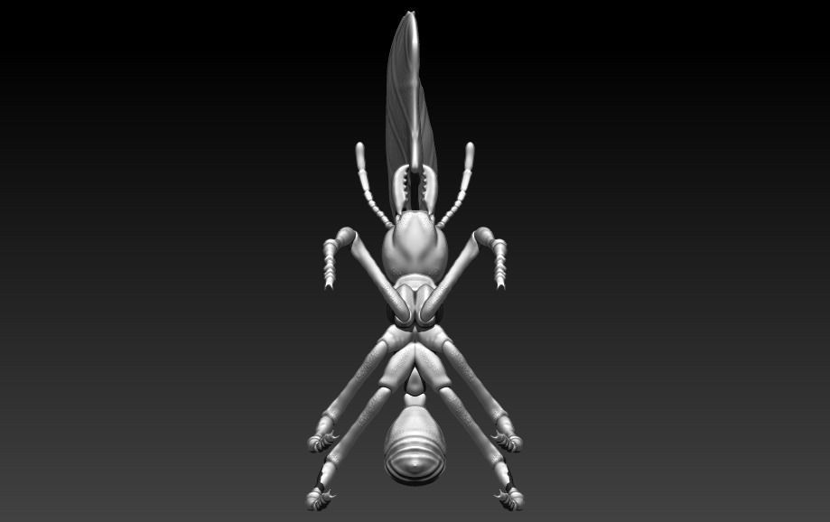 red ant 3D print model_4
