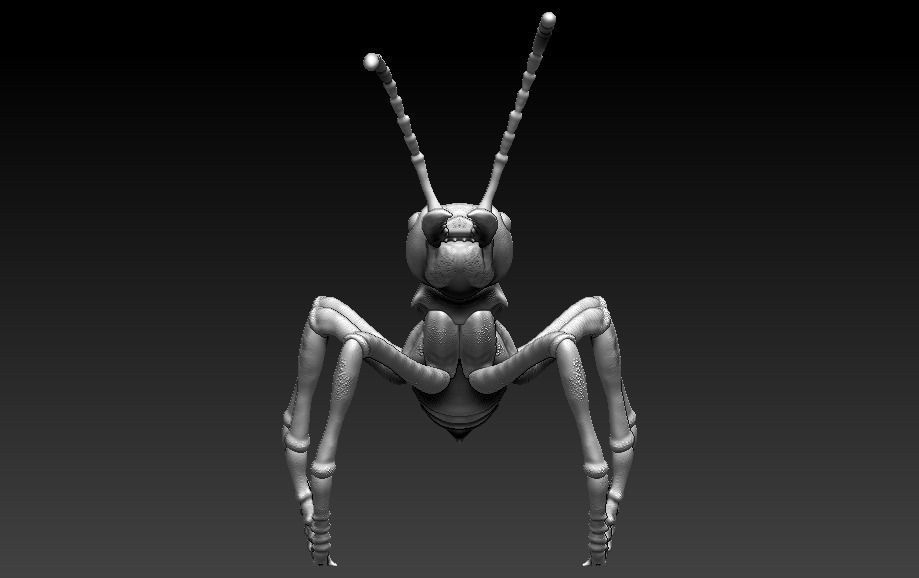 red ant 3D print model_11