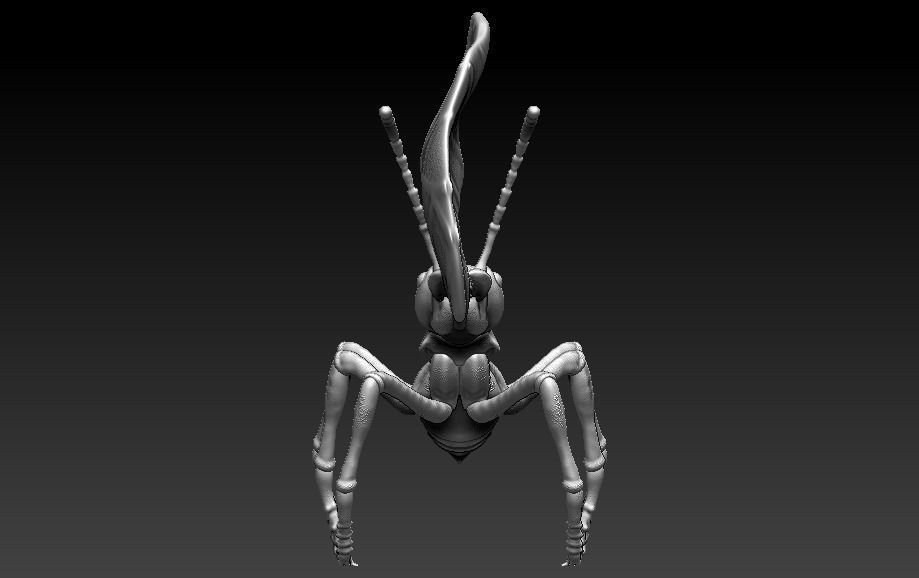 red ant 3D print model_3