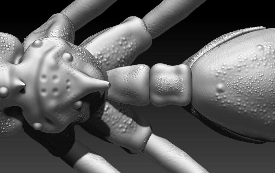 red ant 3D print model_7