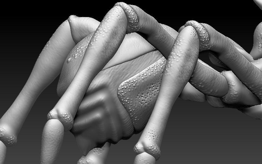 red ant 3D print model_9