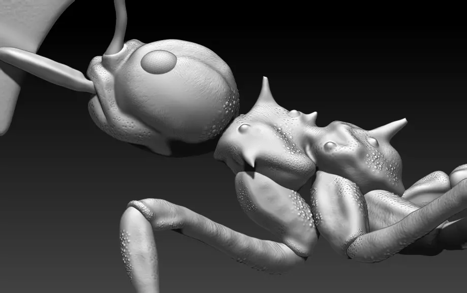 red ant 3D print model_0
