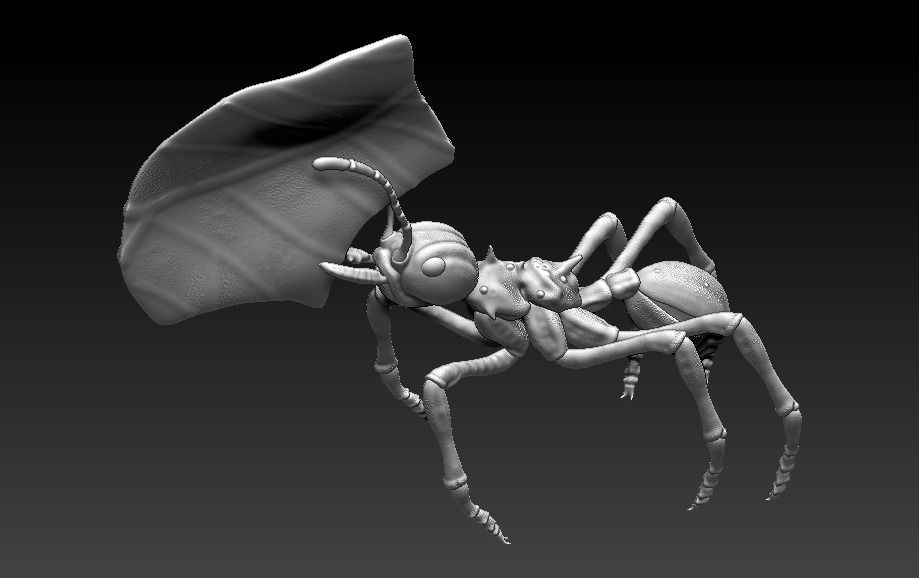 red ant 3D print model_2