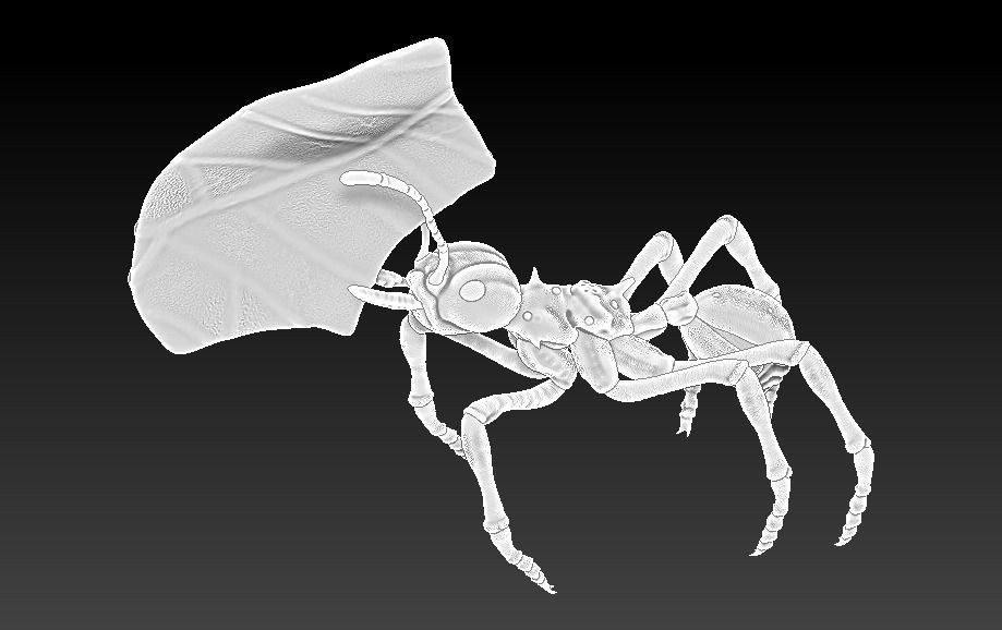 red ant 3D print model_15