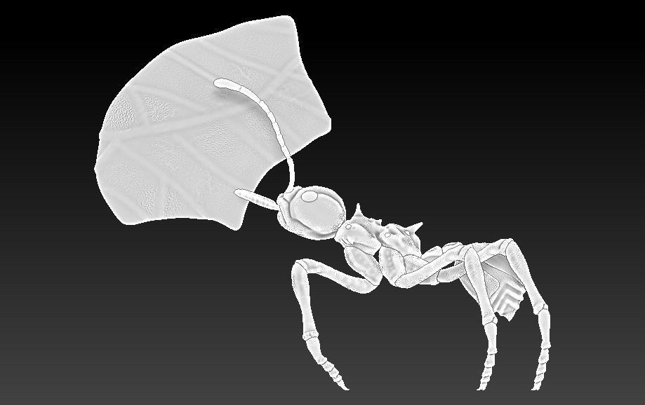 red ant 3D print model_14