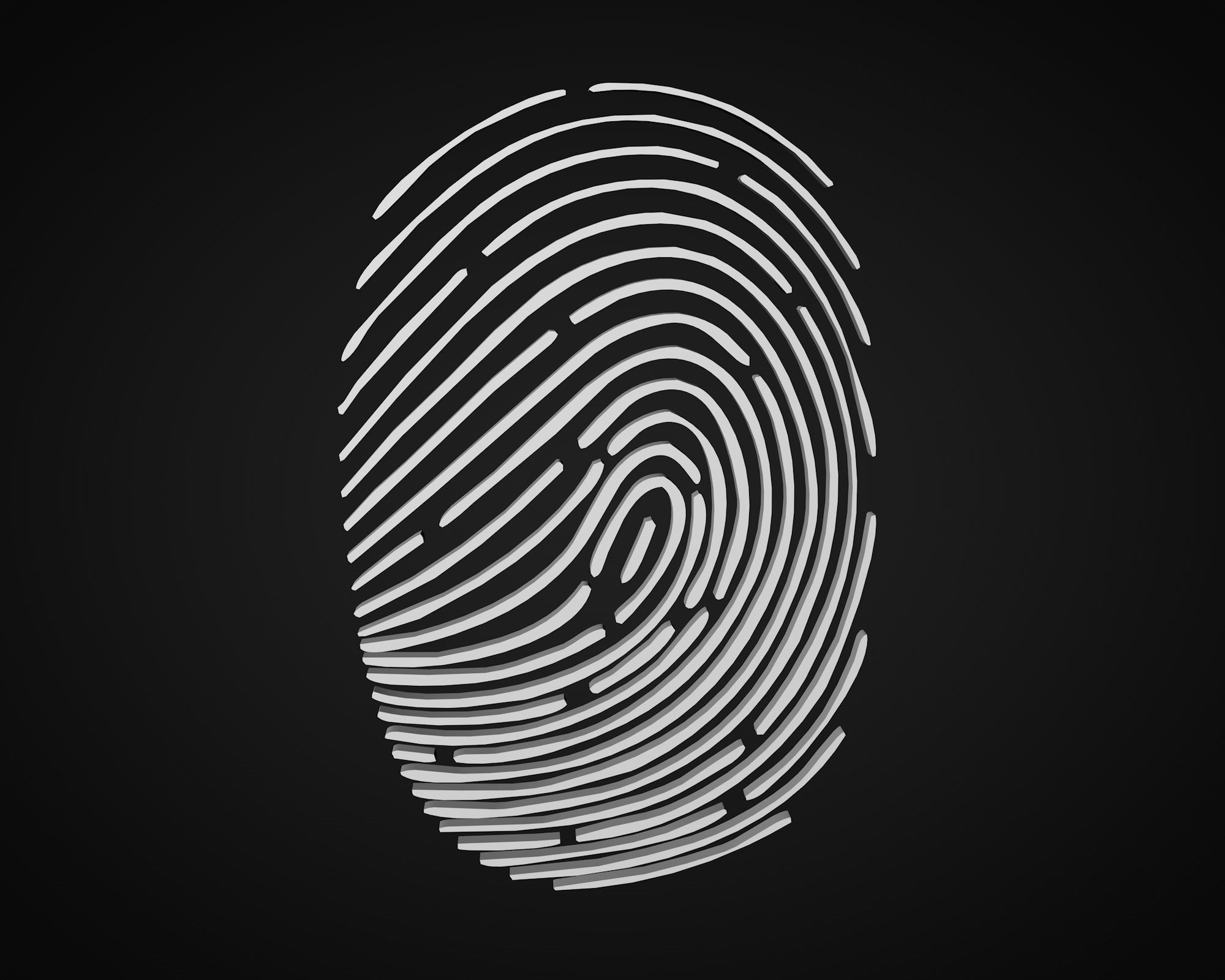 fingerprint 3D model_1