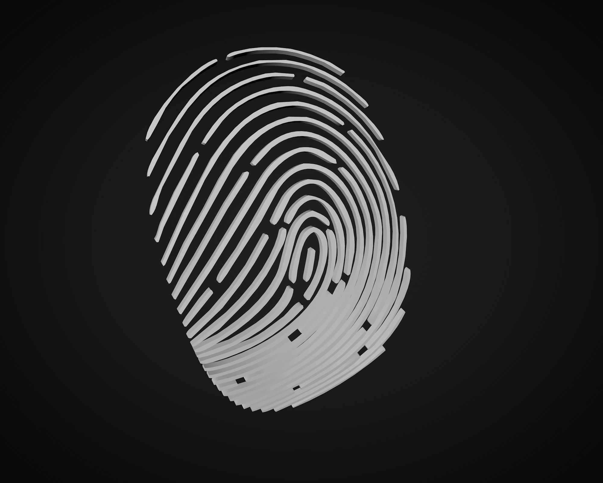 fingerprint 3D model_2