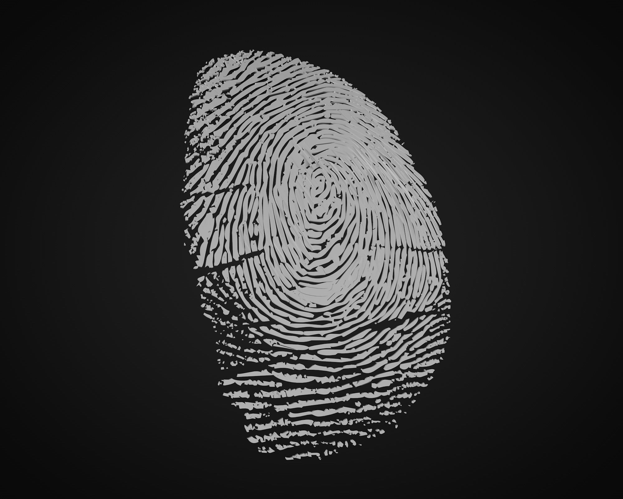 fingerprint 3D model_4