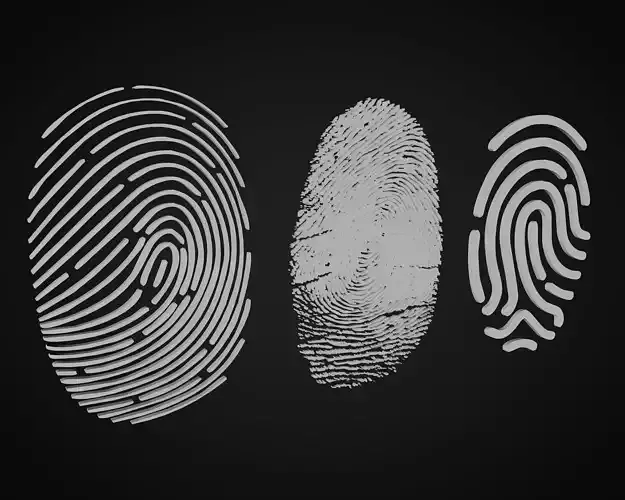 fingerprint 3D model
