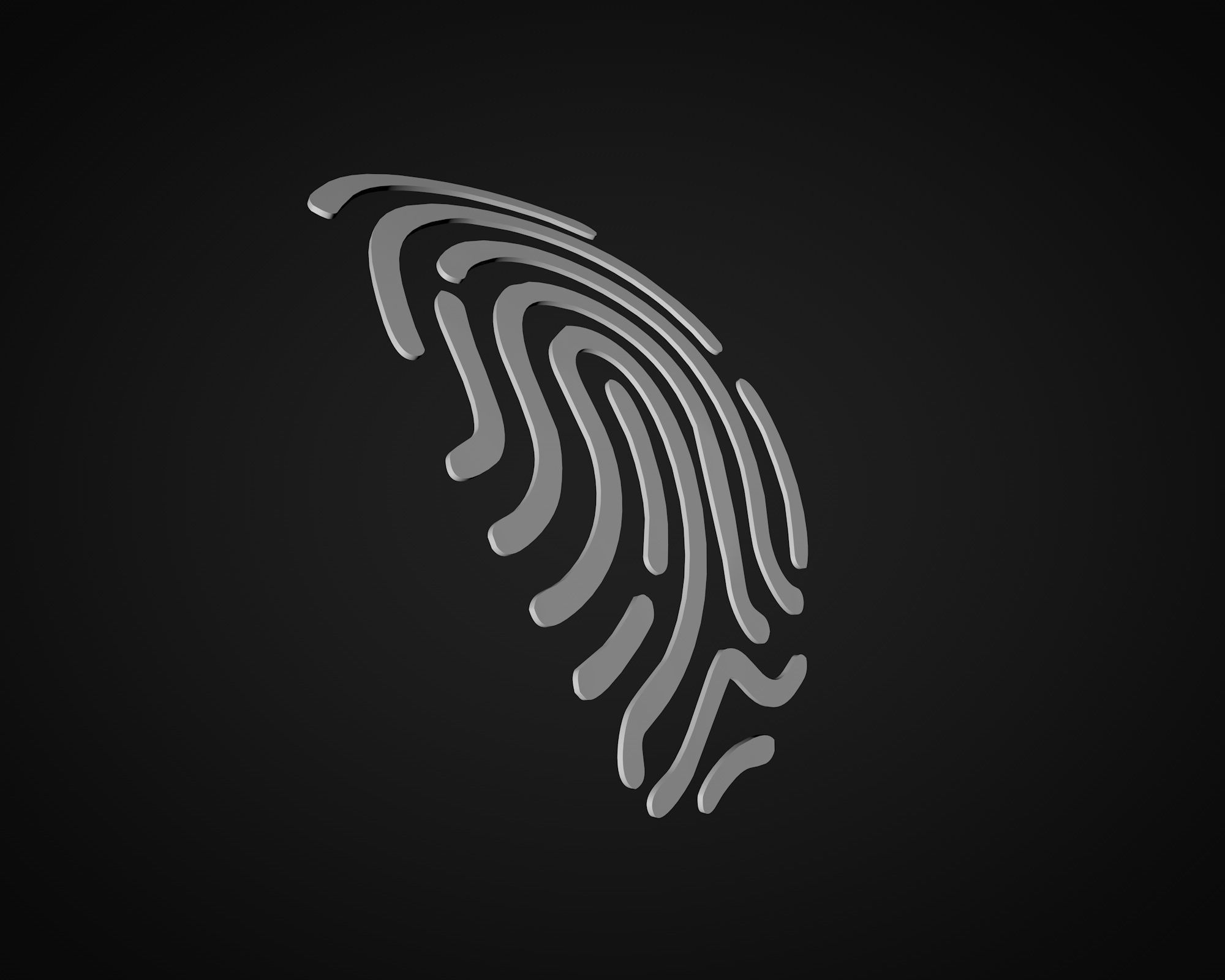 fingerprint 3D model_6