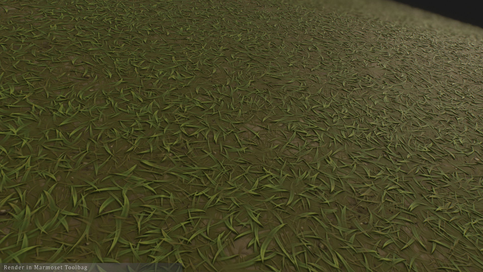 Stylized Grass PBR texture Texture_3