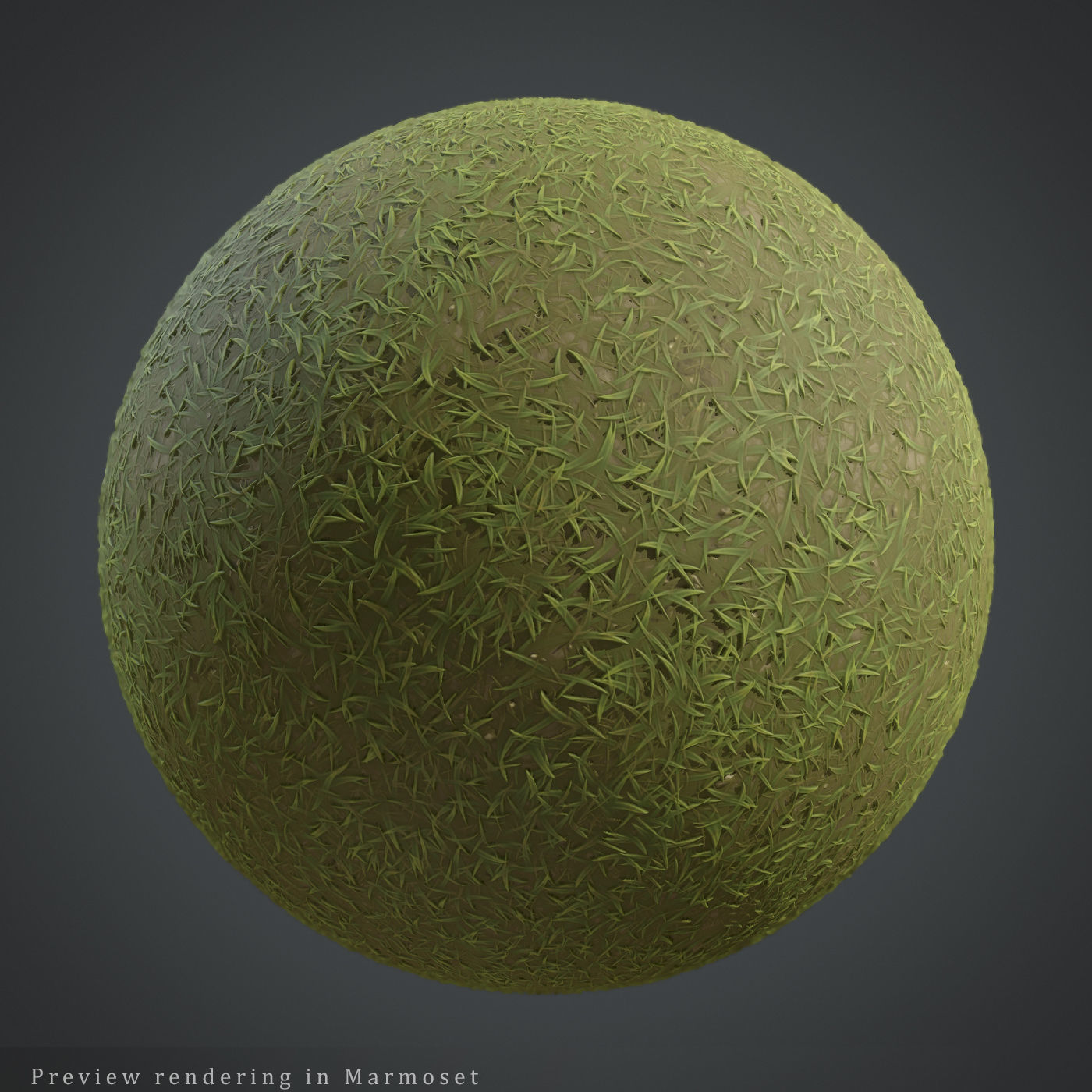 Stylized Grass PBR texture Texture_2