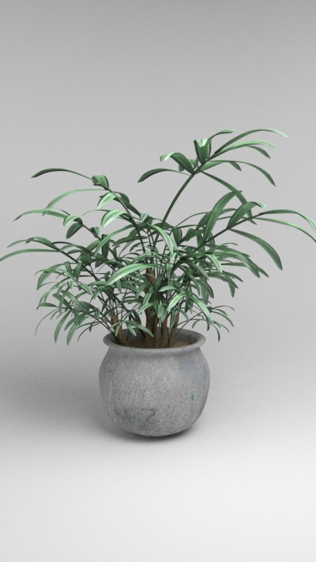 HOUSE PLANTS AND  TREES   3D model_13