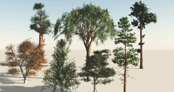 HOUSE PLANTS AND  TREES   3D model_6