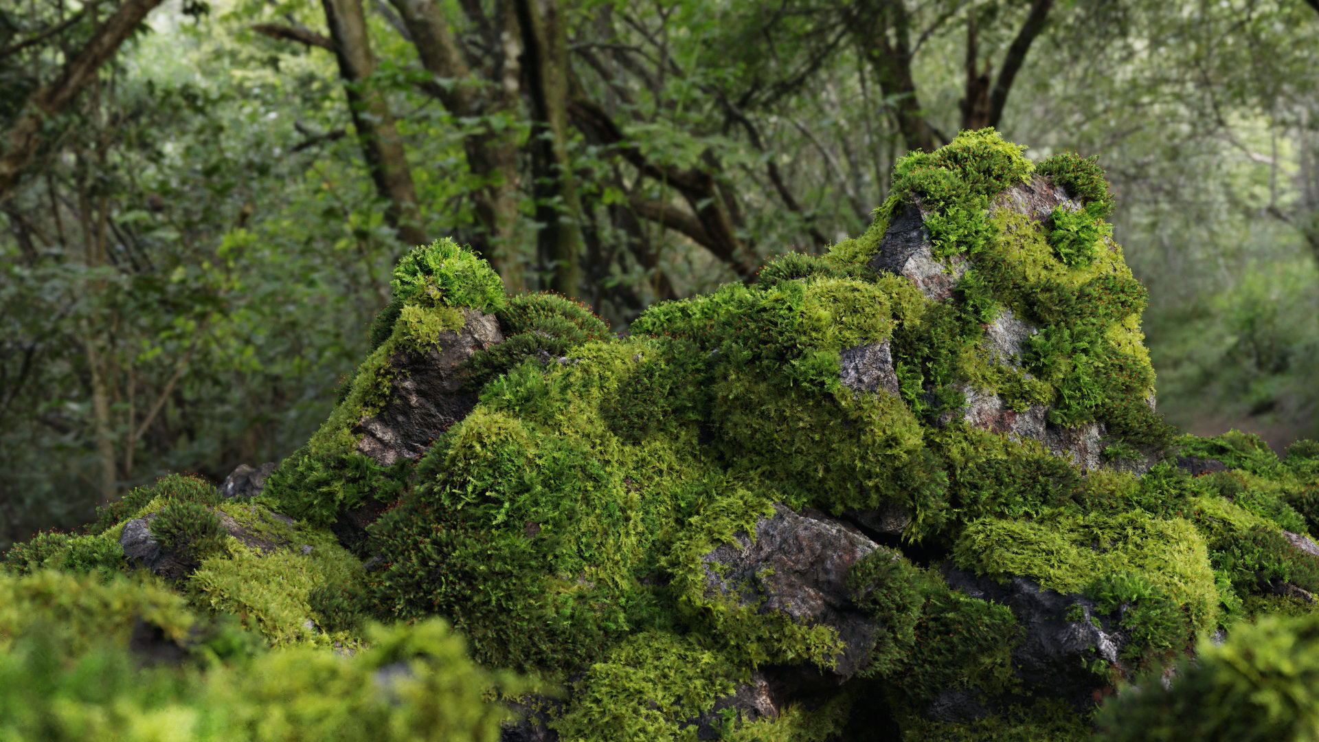 Moss 7 Species and Stones - PBR Asset Kit Low-poly 3D model_26