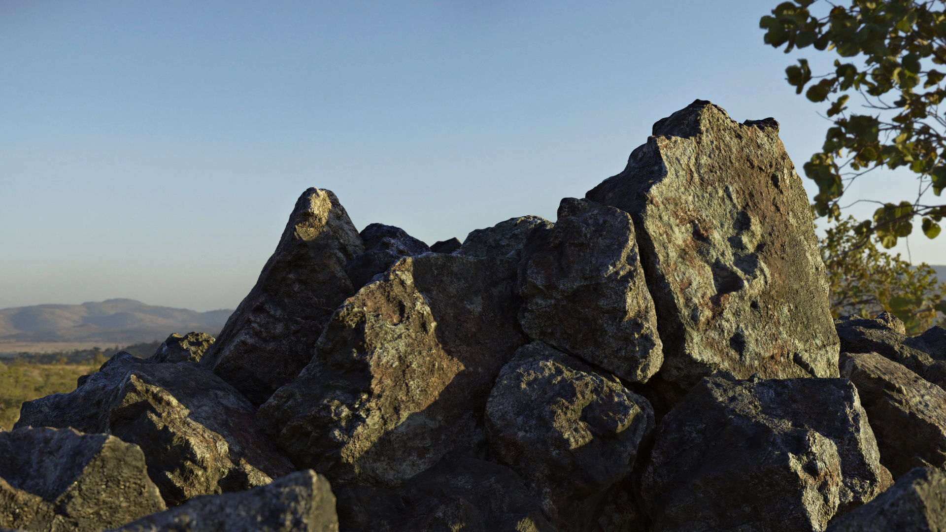 Moss 7 Species and Stones - PBR Asset Kit Low-poly 3D model_8