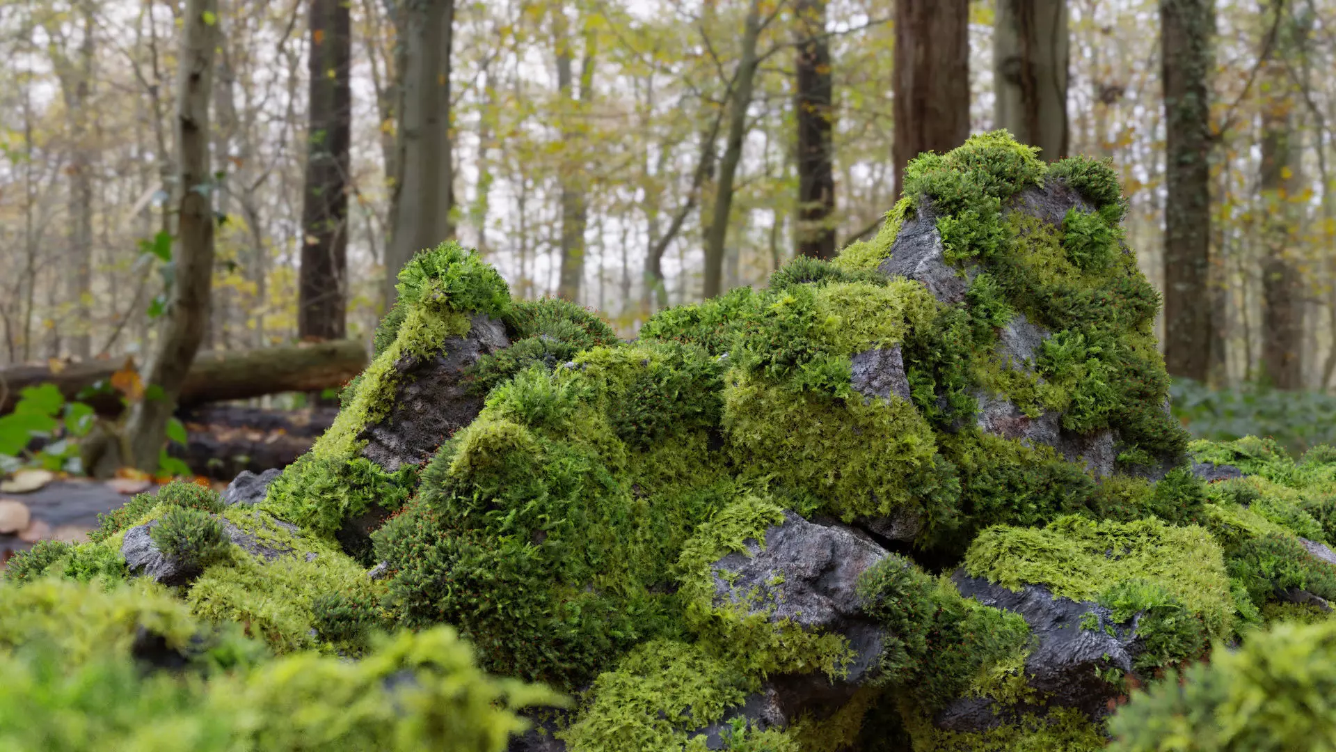Moss 7 Species and Stones - PBR Asset Kit Low-poly 3D model_0