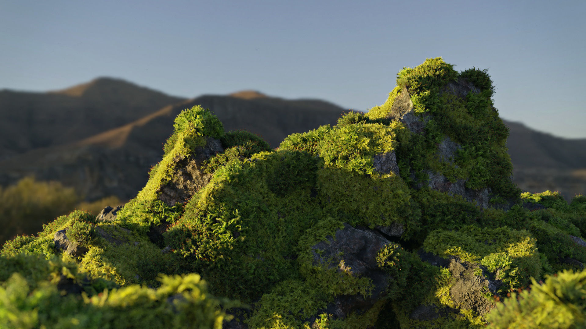 Moss 7 Species and Stones - PBR Asset Kit Low-poly 3D model_23
