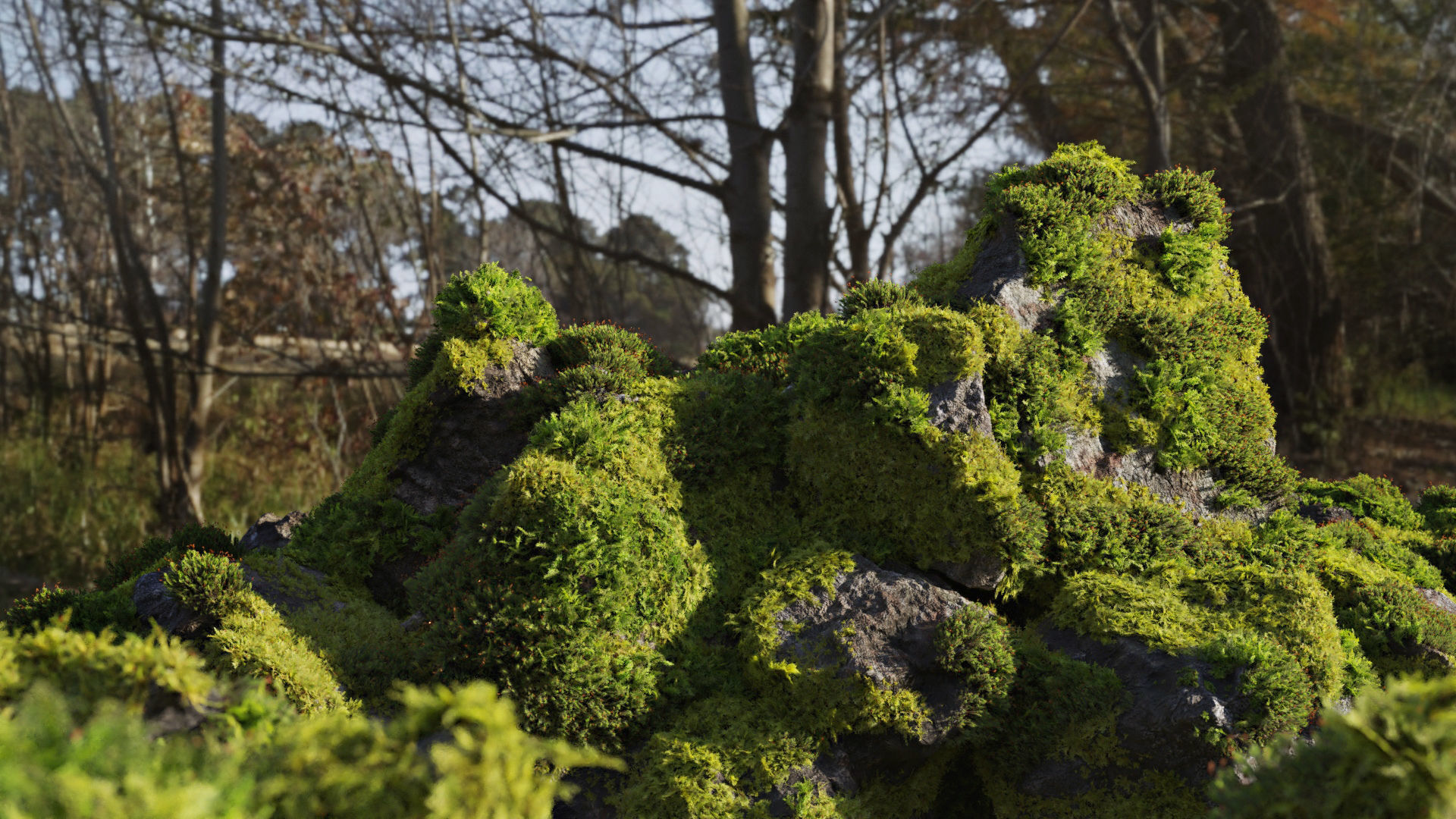 Moss 7 Species and Stones - PBR Asset Kit Low-poly 3D model_21