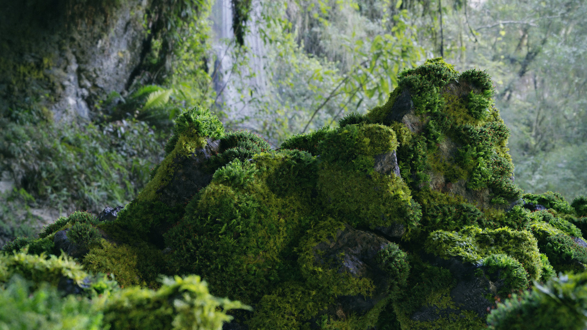 Moss 7 Species and Stones - PBR Asset Kit Low-poly 3D model_24