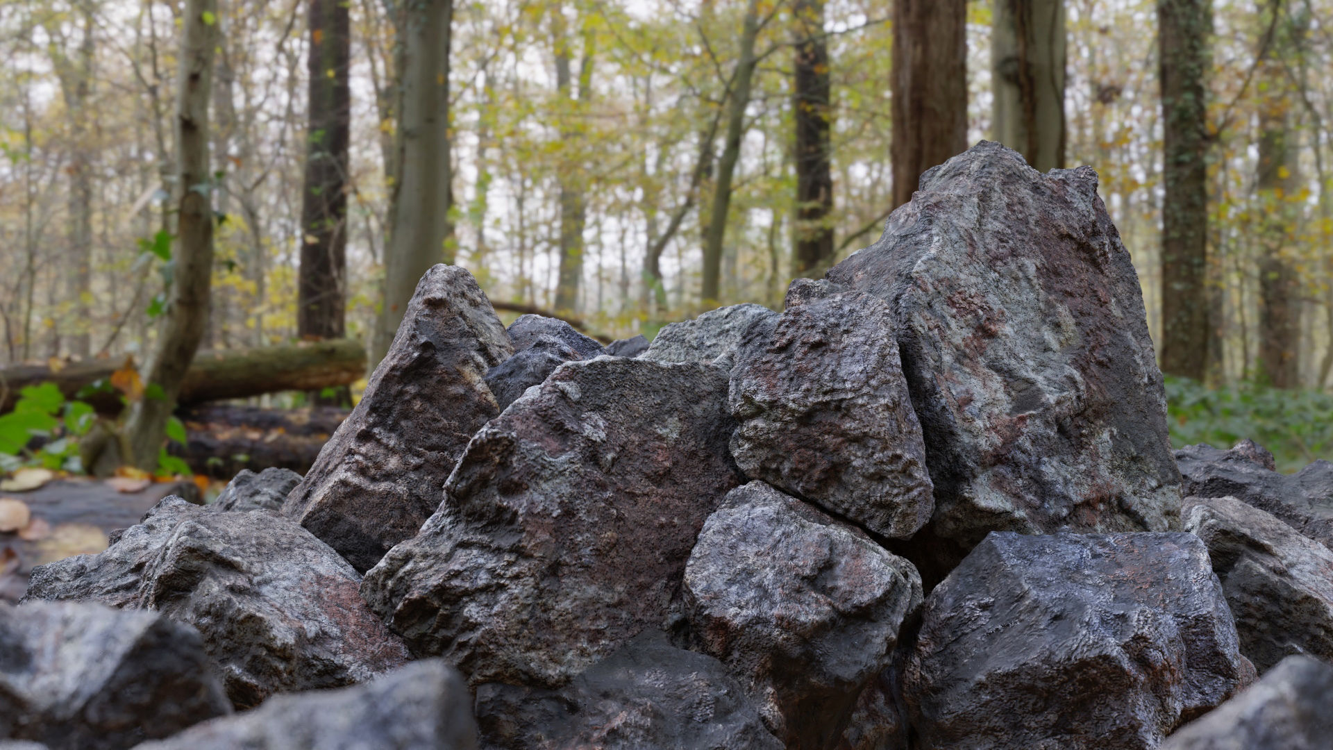 Moss 7 Species and Stones - PBR Asset Kit Low-poly 3D model_2