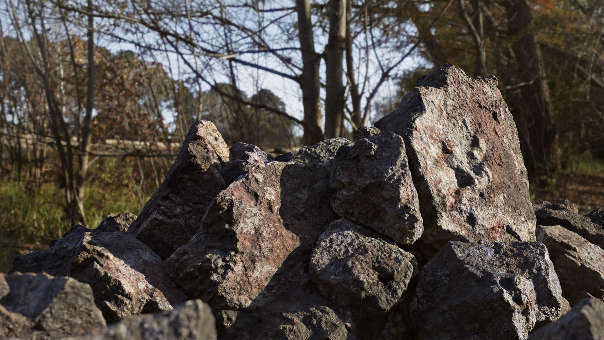 Moss 7 Species and Stones - PBR Asset Kit Low-poly 3D model_22