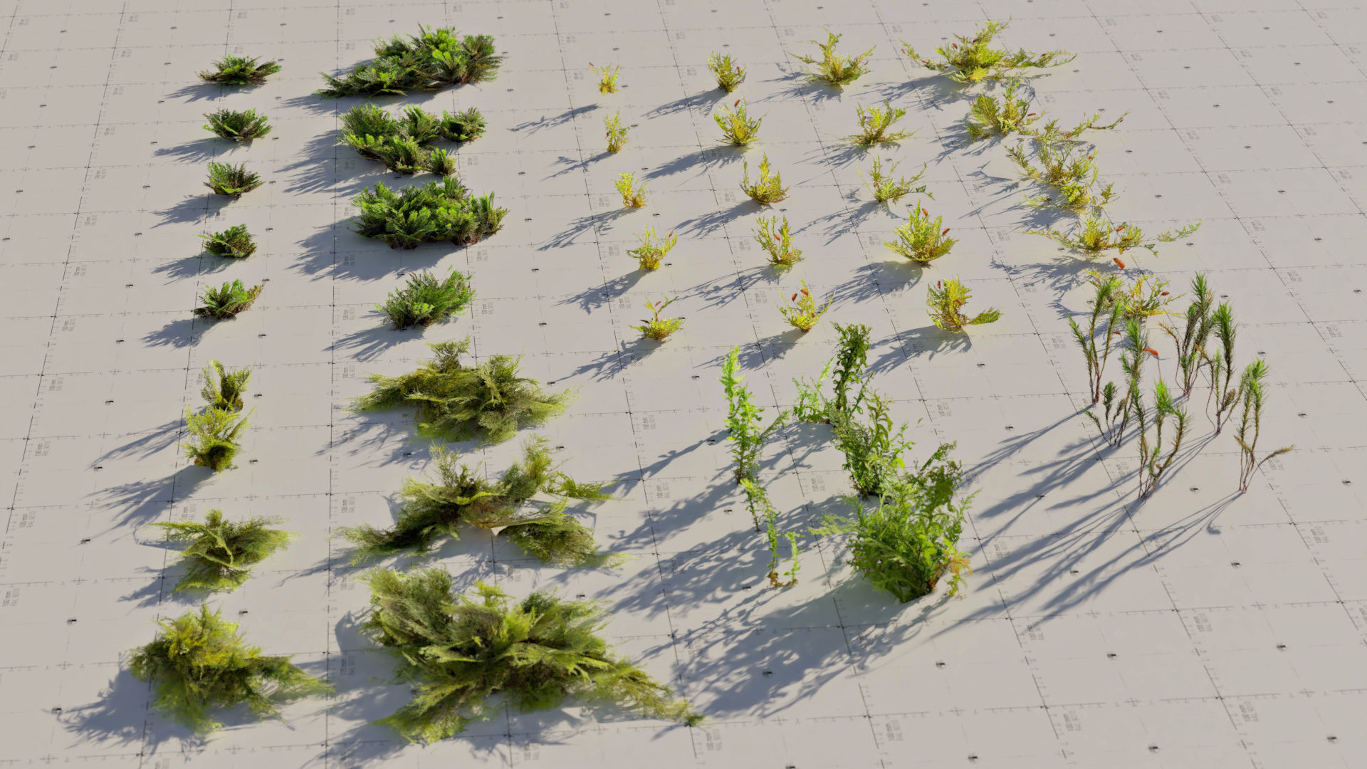 Moss 7 Species and Stones - PBR Asset Kit Low-poly 3D model_6