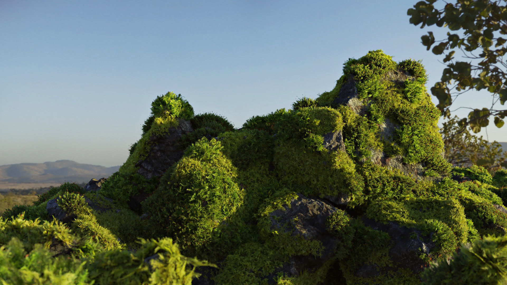 Moss 7 Species and Stones - PBR Asset Kit Low-poly 3D model_7