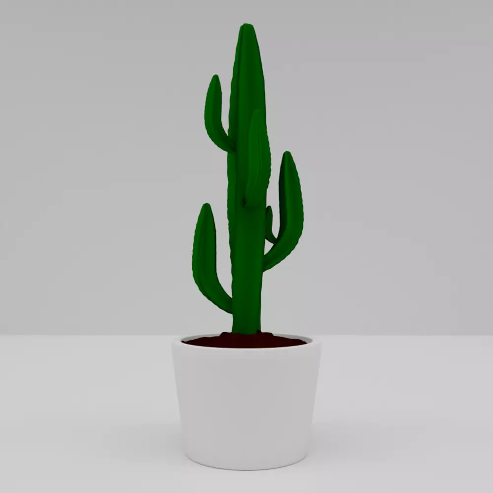 EUPHORBIA cactus in pot 3D model_0