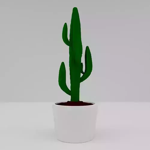 EUPHORBIA cactus in pot