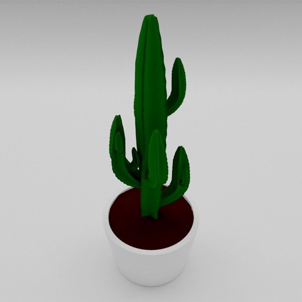 EUPHORBIA cactus in pot 3D model_2