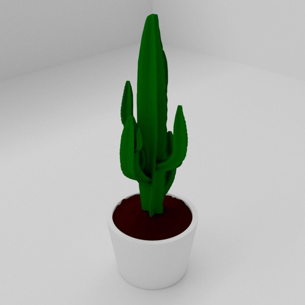 EUPHORBIA cactus in pot 3D model_3