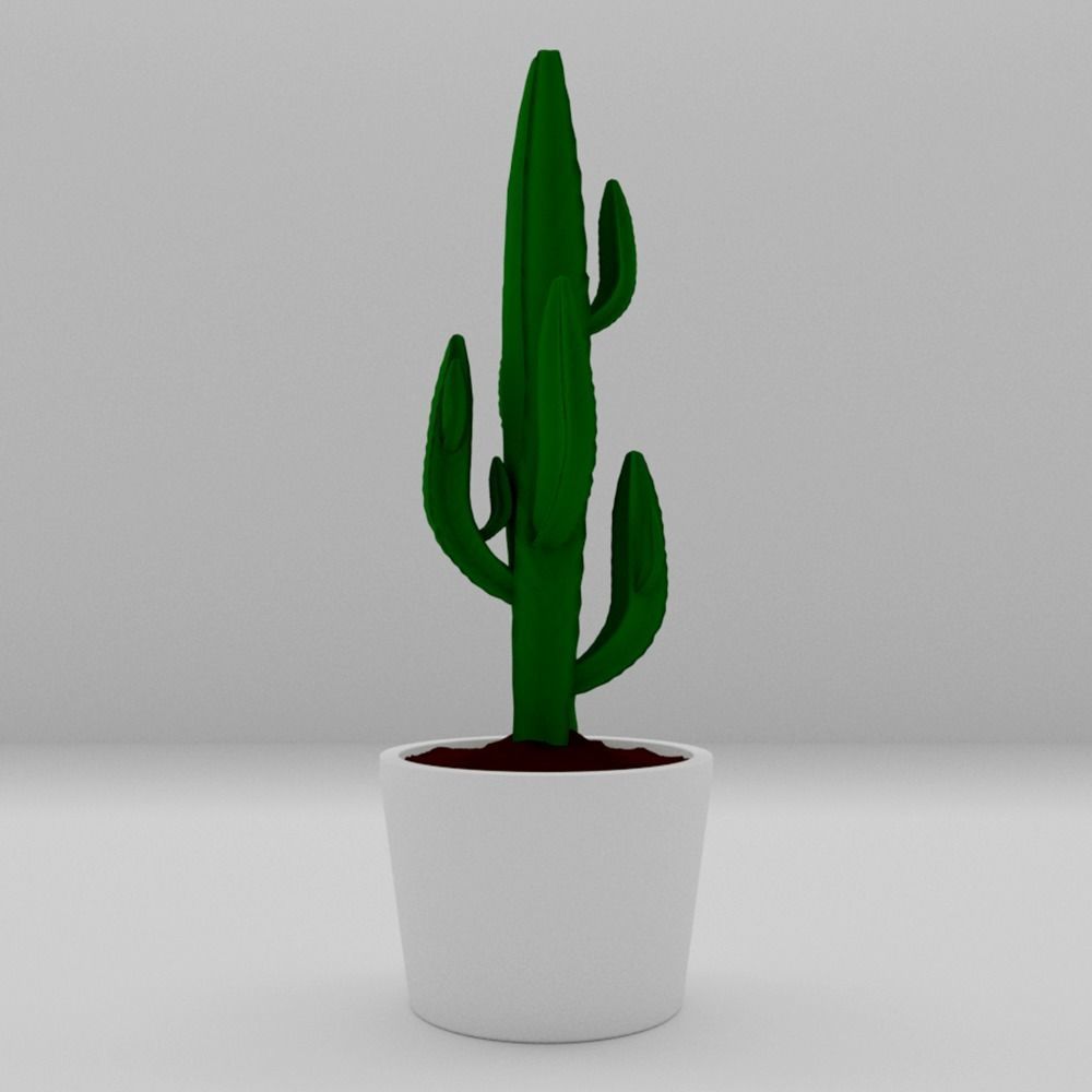 EUPHORBIA cactus in pot 3D model_1