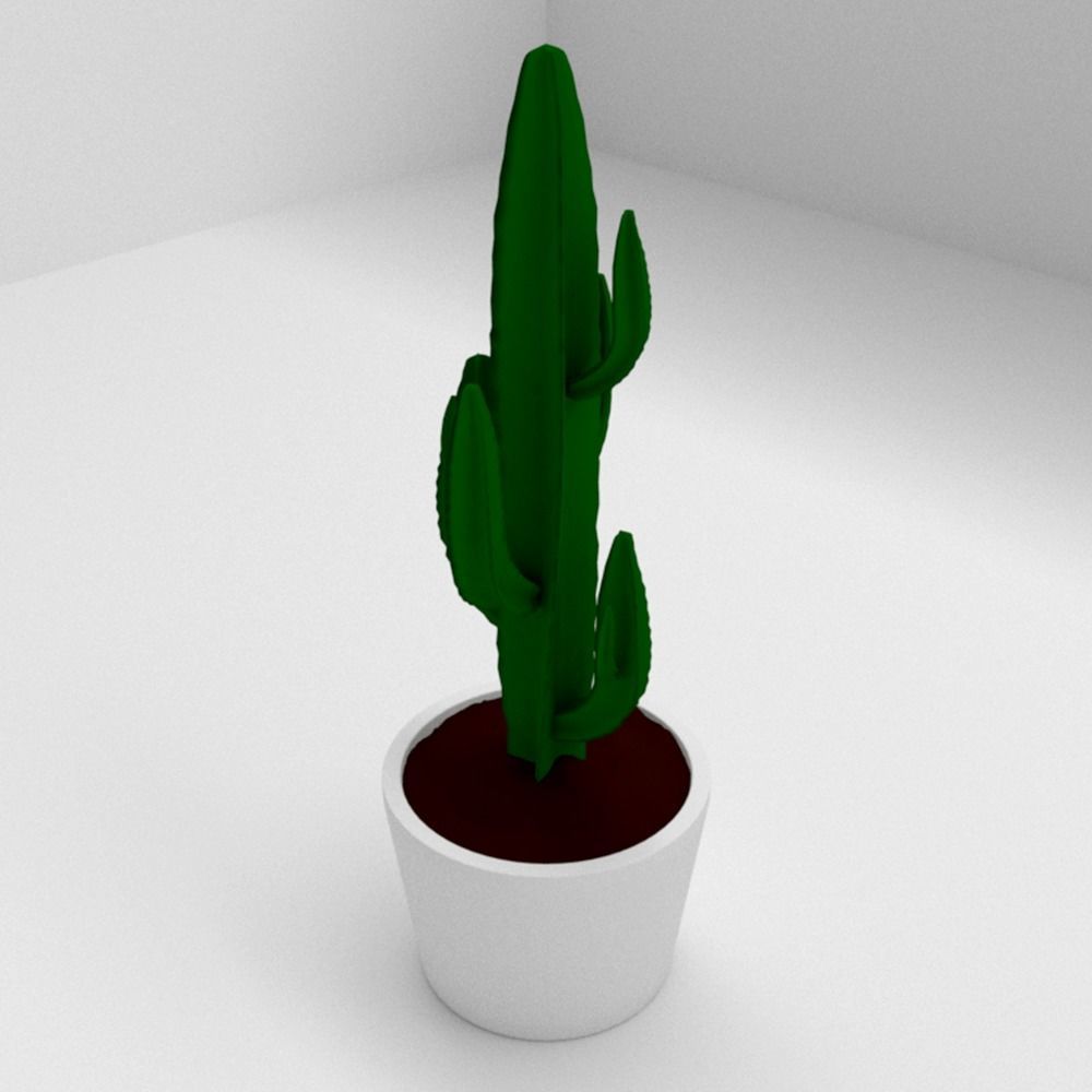 EUPHORBIA cactus in pot 3D model_4